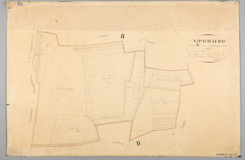 Section B