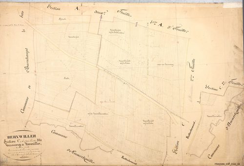 Section C
