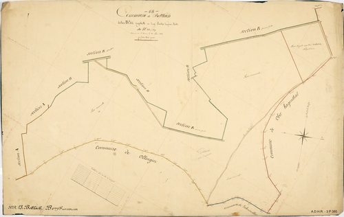 Section B