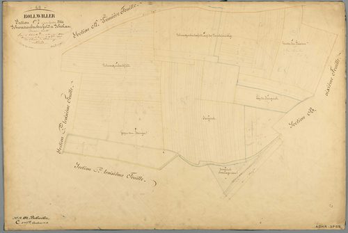 Section C