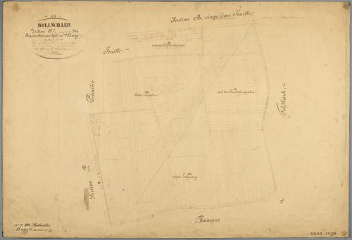 Section B