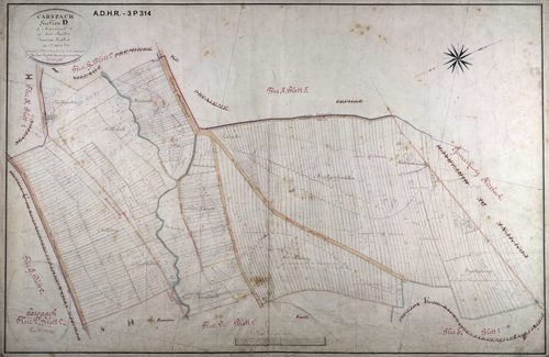 Section D