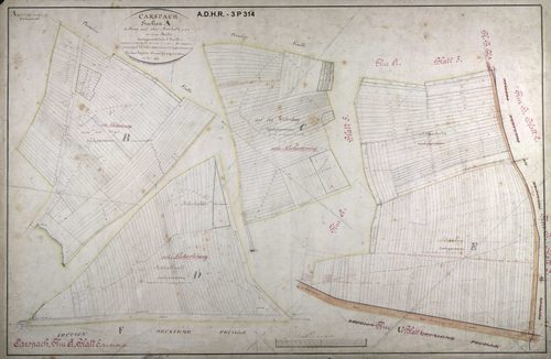 Section A