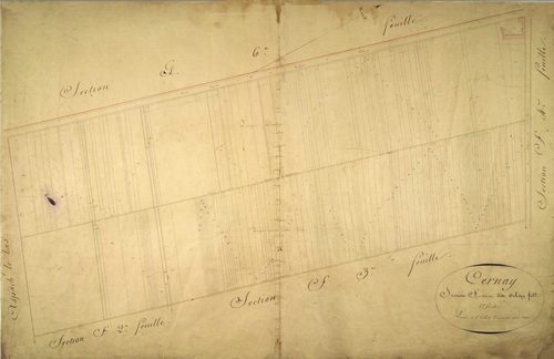 Section F