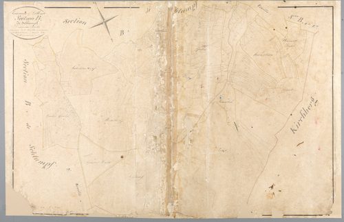 Section B