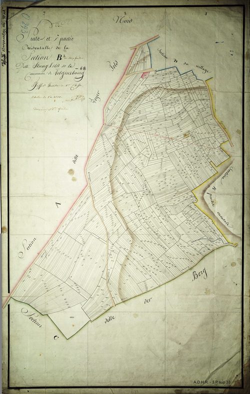 Section B