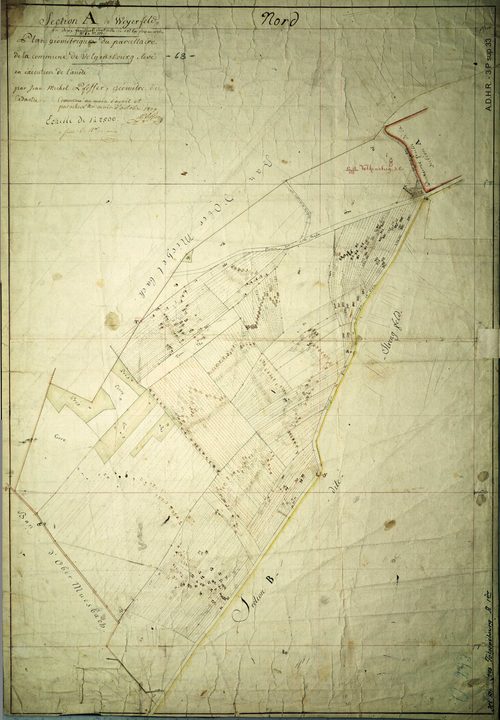 Section A
