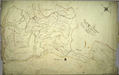 Section A