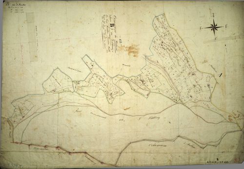 Section B