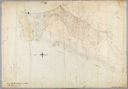 Section A