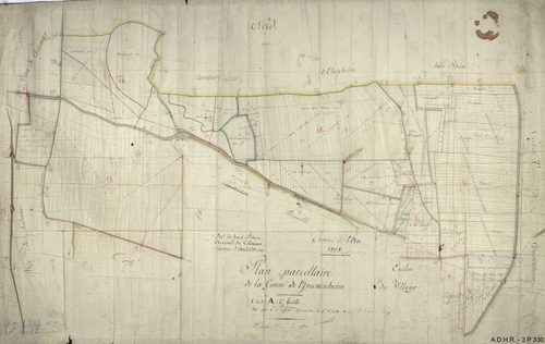 Section A
