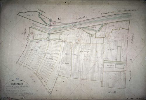 Section B