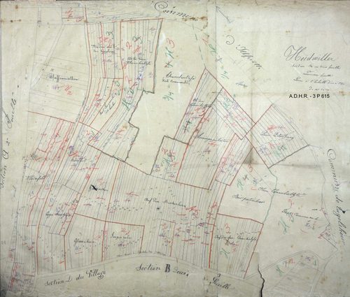 Section B