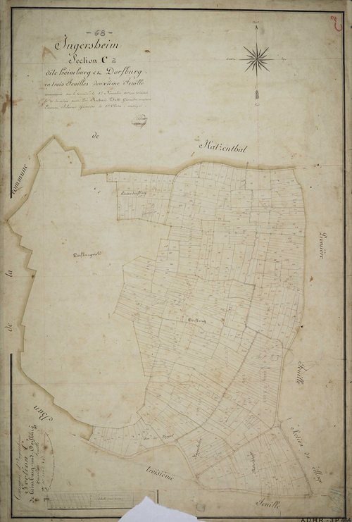 Section C