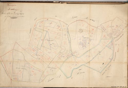Section B