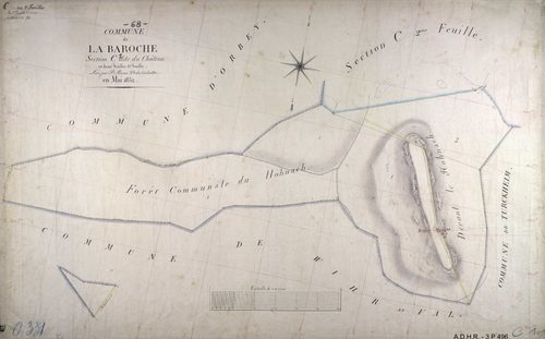 Section C