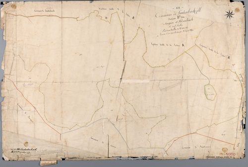 Section B