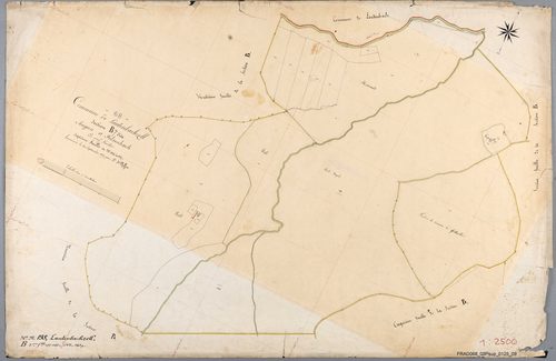 Section B