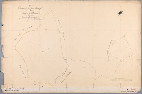 Section B