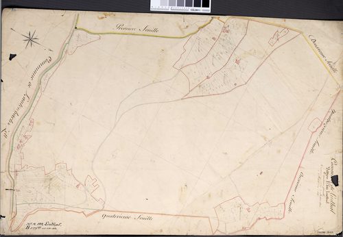 Section B