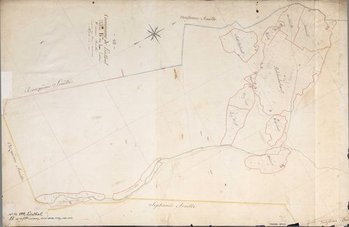 Section B