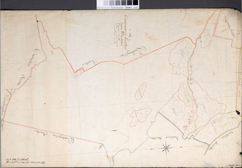 Section B