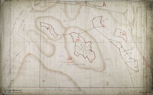 Section B