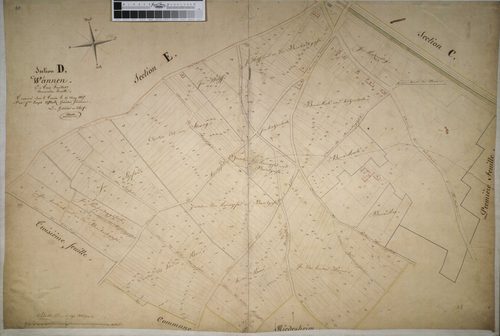 Section D