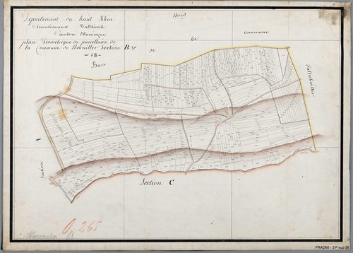 Section B