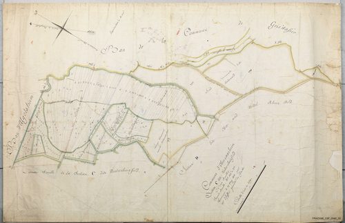 Section C