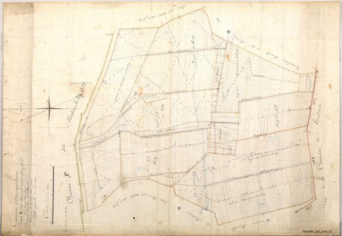 Section D