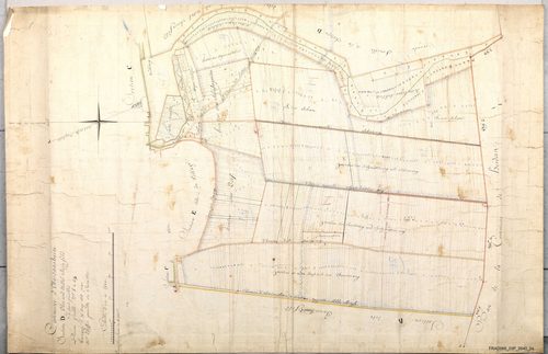 Section D