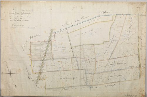 Section A