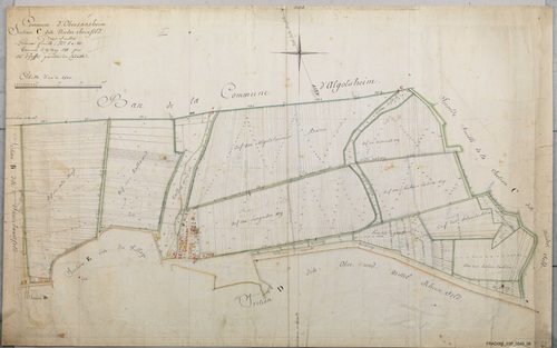 Section C