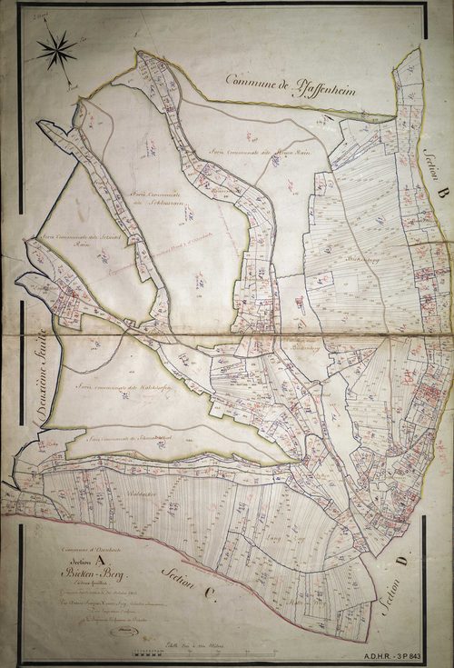 Section A