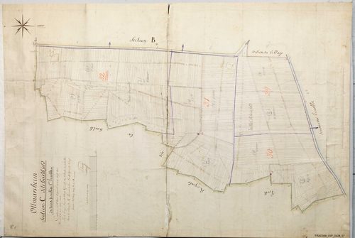 Section C
