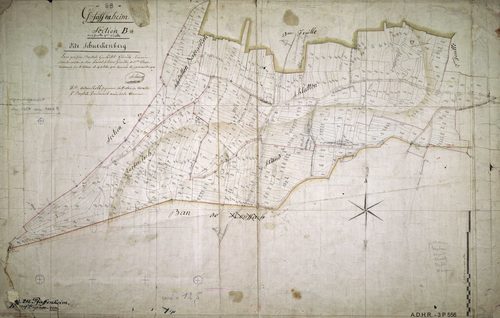 Section B