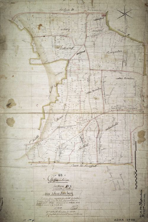 Section B