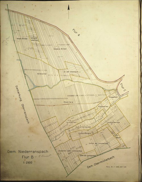 Section B