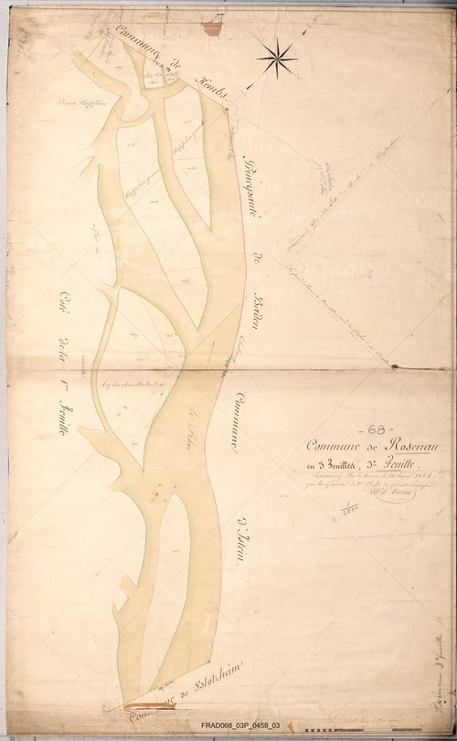 Section unique