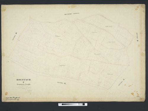 Section P
