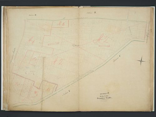 Section T