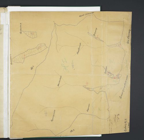 Section Y