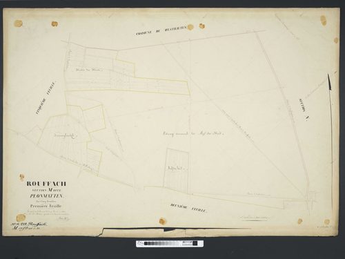 Section M