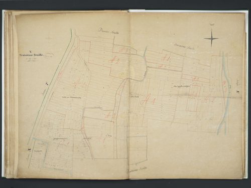 Section V