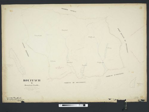 Section Y