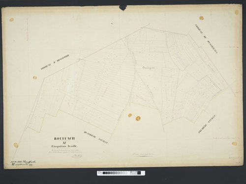 Section M
