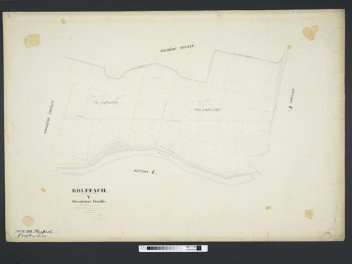 Section V