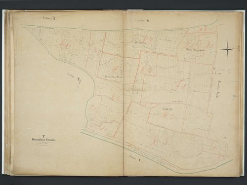 Section T