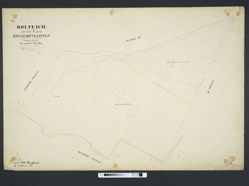Section V